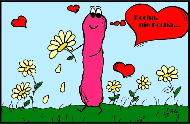 Wpis mikrobek1