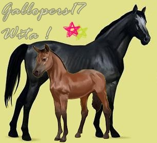by gallopers17