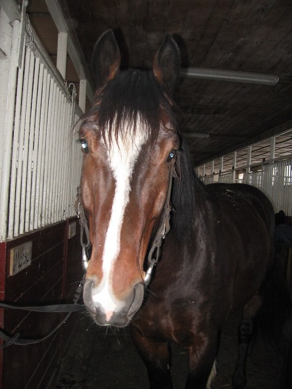 Monsun