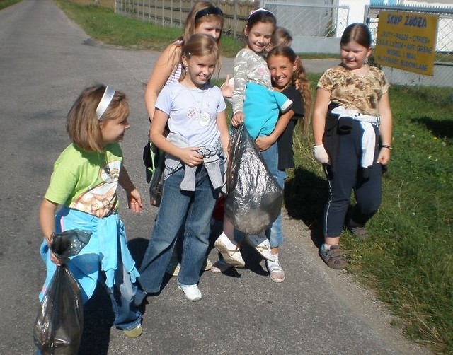 sprztanie wiata 2010