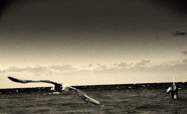 be free...