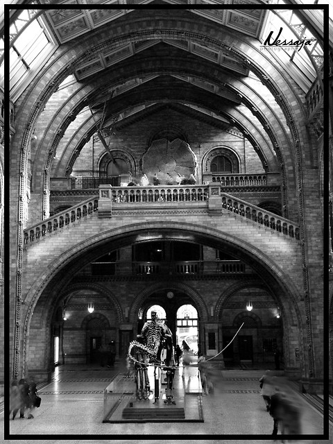 837 - Day at museum