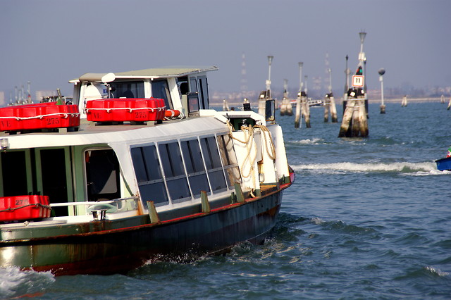 Wpis whitehorses