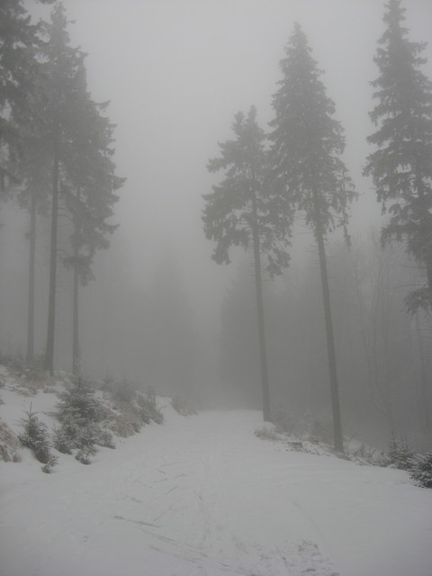 zima.1