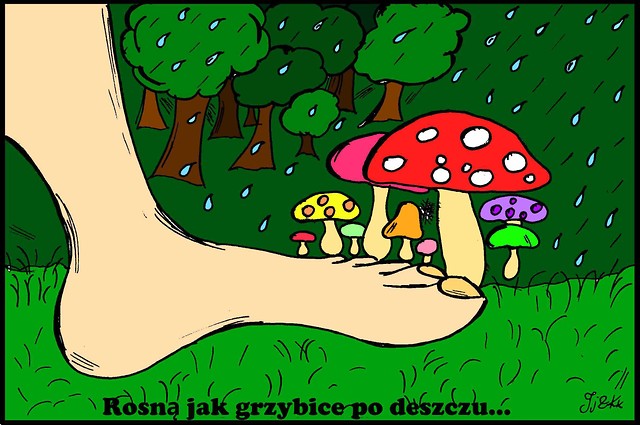 Wpis mikrobek1