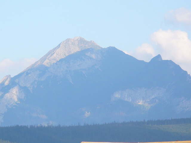 Gra