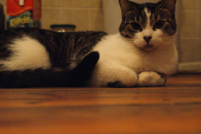 Leo.