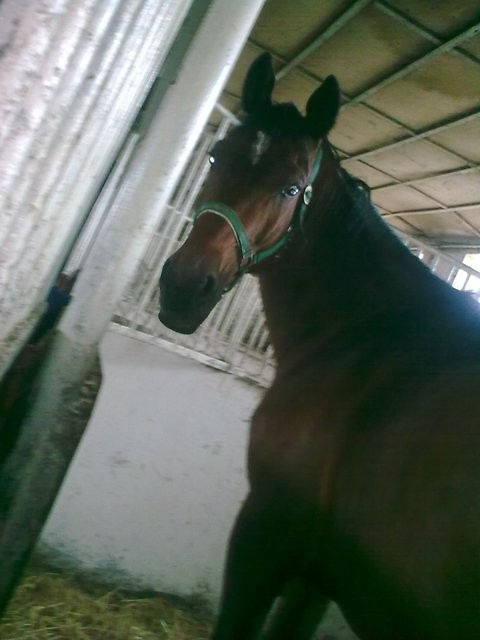 Largo :d