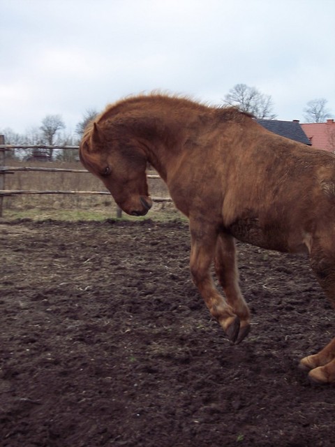 WIOSNA?