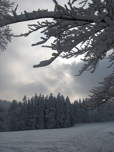 zima.2