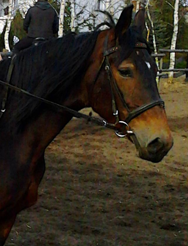 Ignorancja ;**