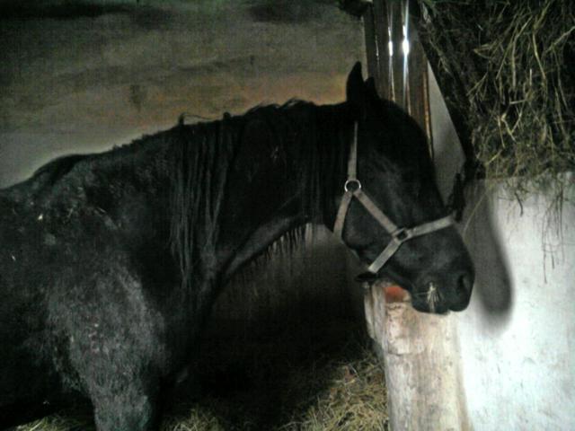 Agawa ;**