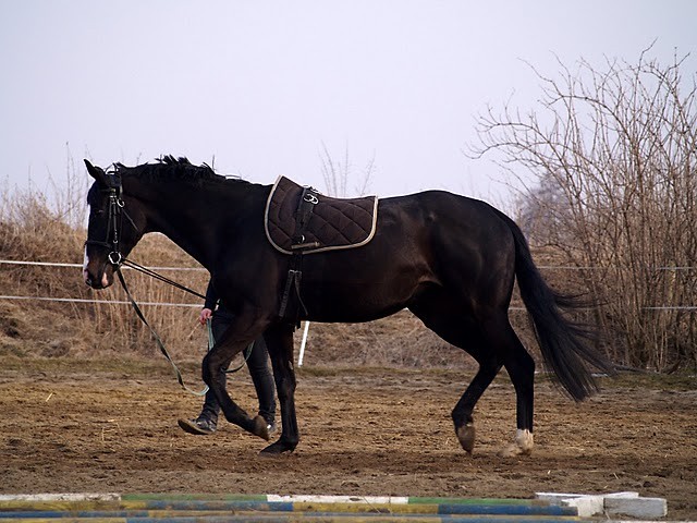 Wpis escada89
