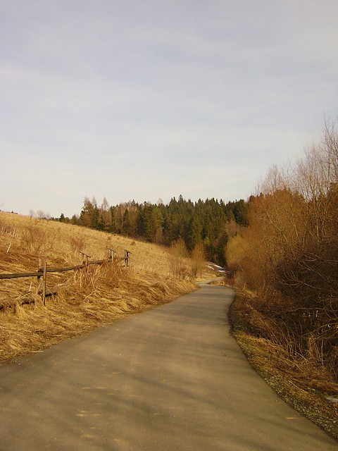 Wpis kluuseczkaa