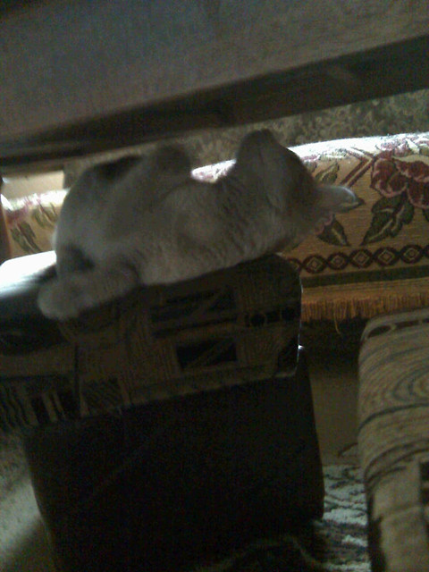 Rudy .. ;)
