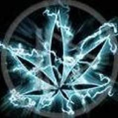 ~~~~