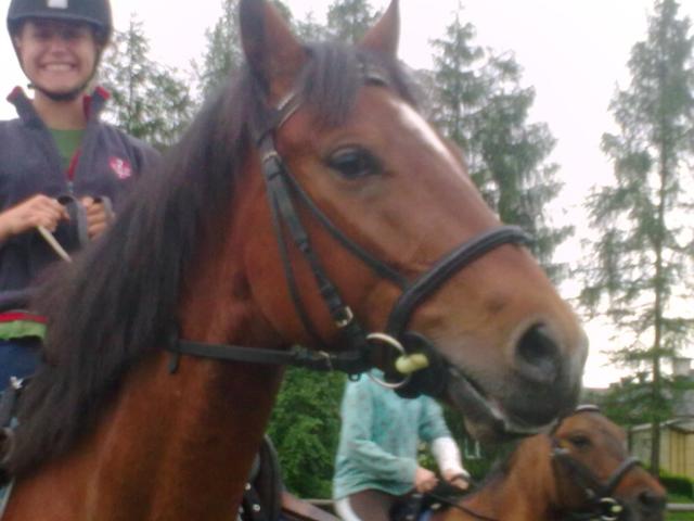 Pirat