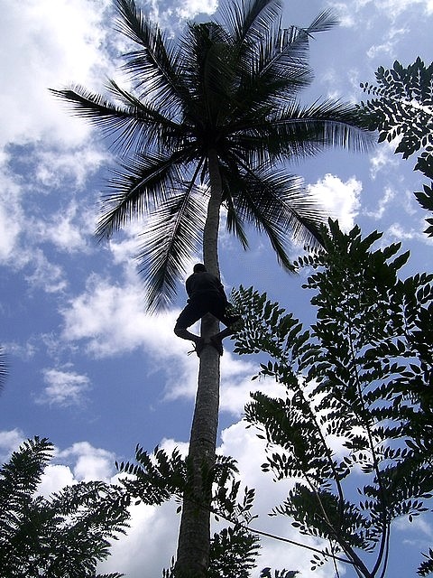 Afrika `06 ? :D