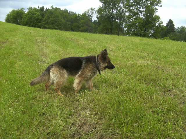Lejdiii