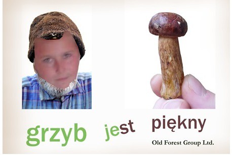 Borowik