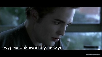 Wpis wyproodukowanabycieszyc