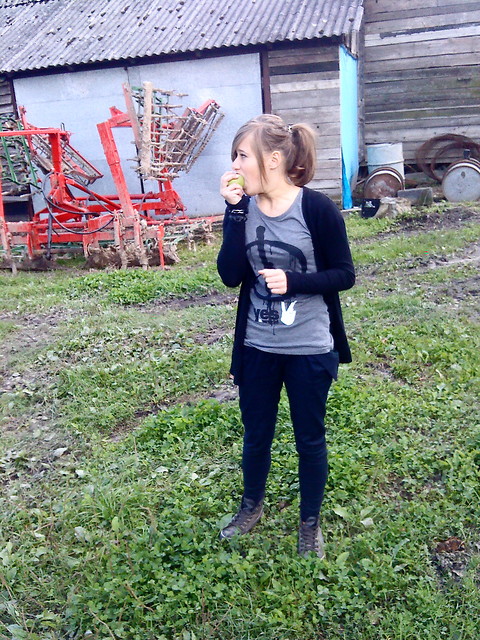 Wpis looszyn
