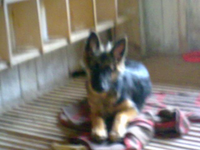 Wpis sonia2010