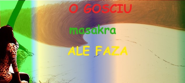 Wpis wsadzeciglowedopralkii