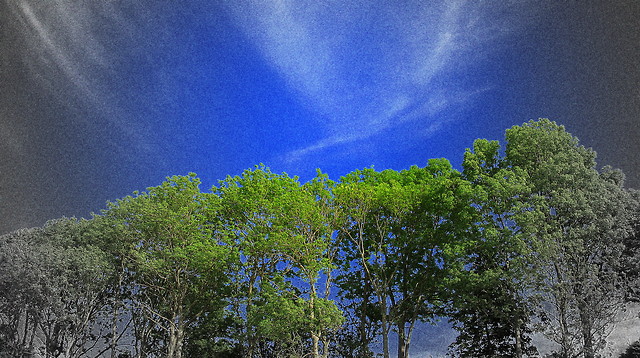 be blue! be green! 