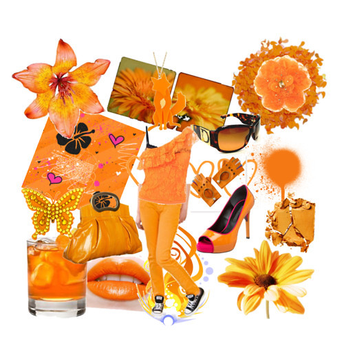 Wpis moda365