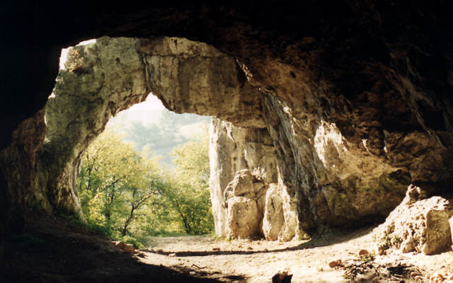 Wyjcie