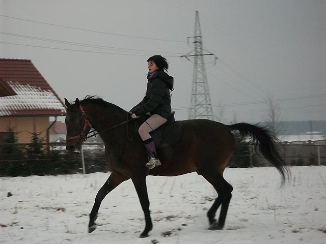 Wpis blackhorse93