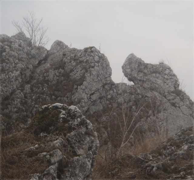 Wpis wodzio96