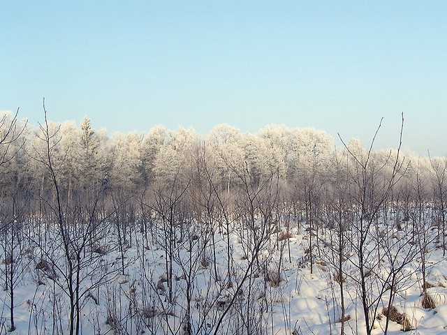 przemineo.