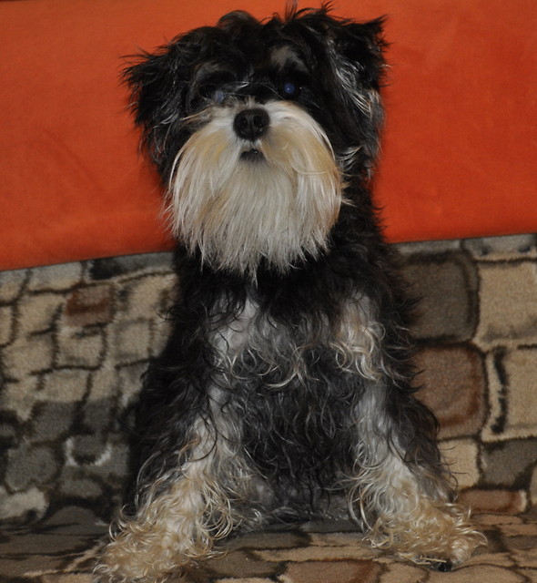 Wpis sonia08