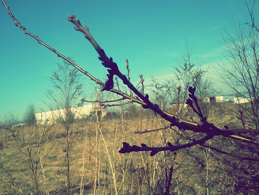 Wpis zyciowawyliczanka