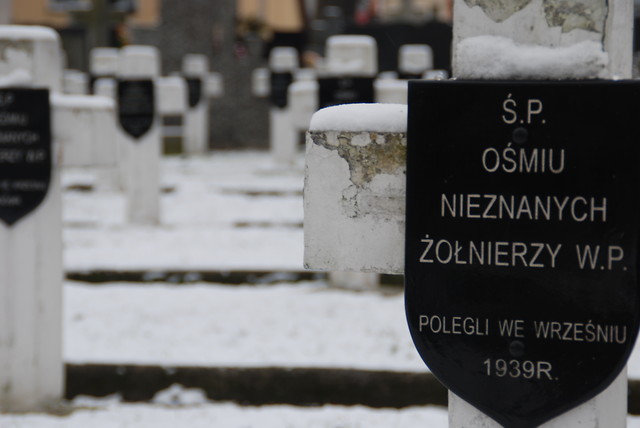Ku pamici