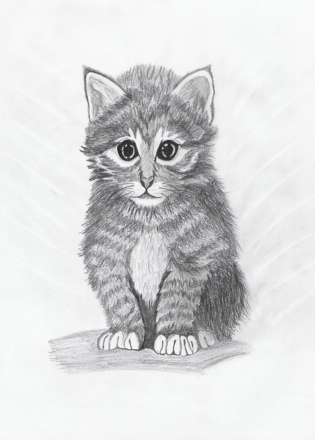 Pysia ;d
