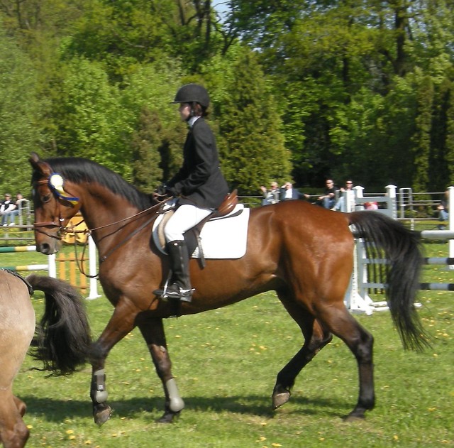 Wpis doska166