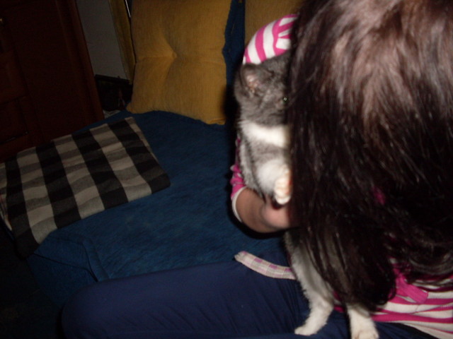 Wpis donusiaa