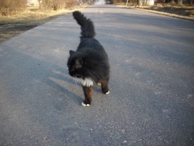 Puszek!