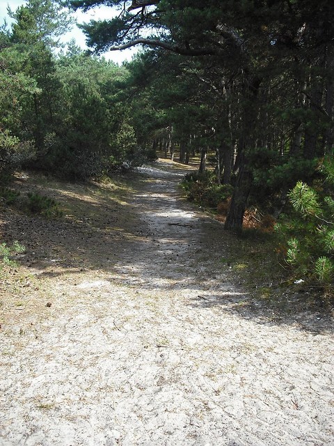 wakacje`10