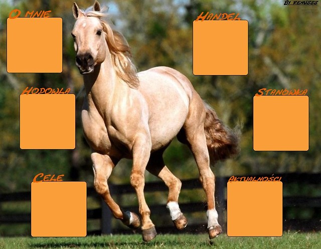 Prezentacja dla I love horse13
