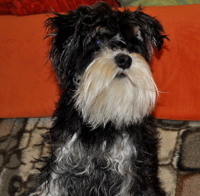 Wpis sonia08