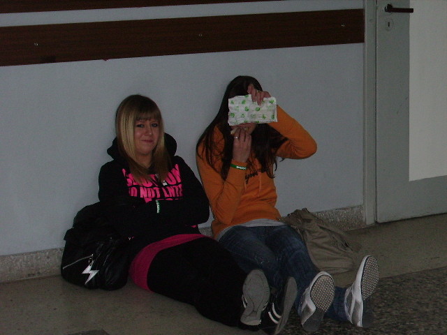 Wpis lilaa