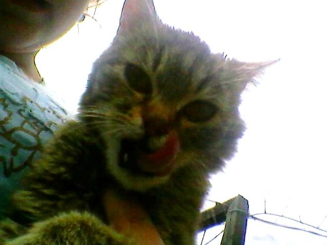 Wpis nusia123xd