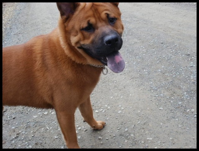 Astro ;)