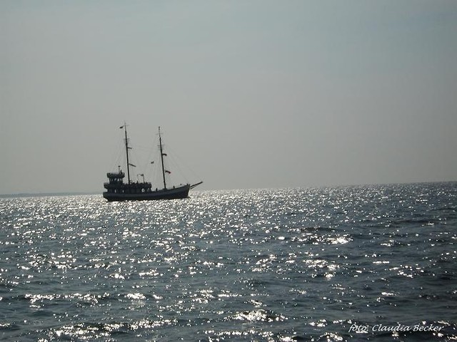 Wpis photofromlive