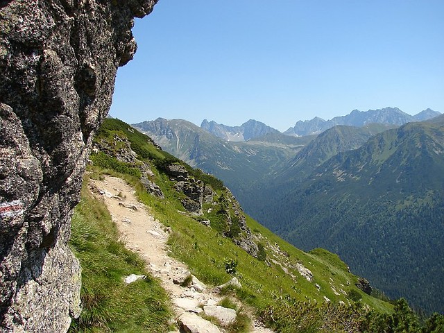 Wpis franekciszek