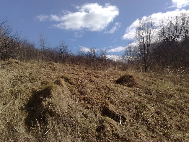 hmm widok :)